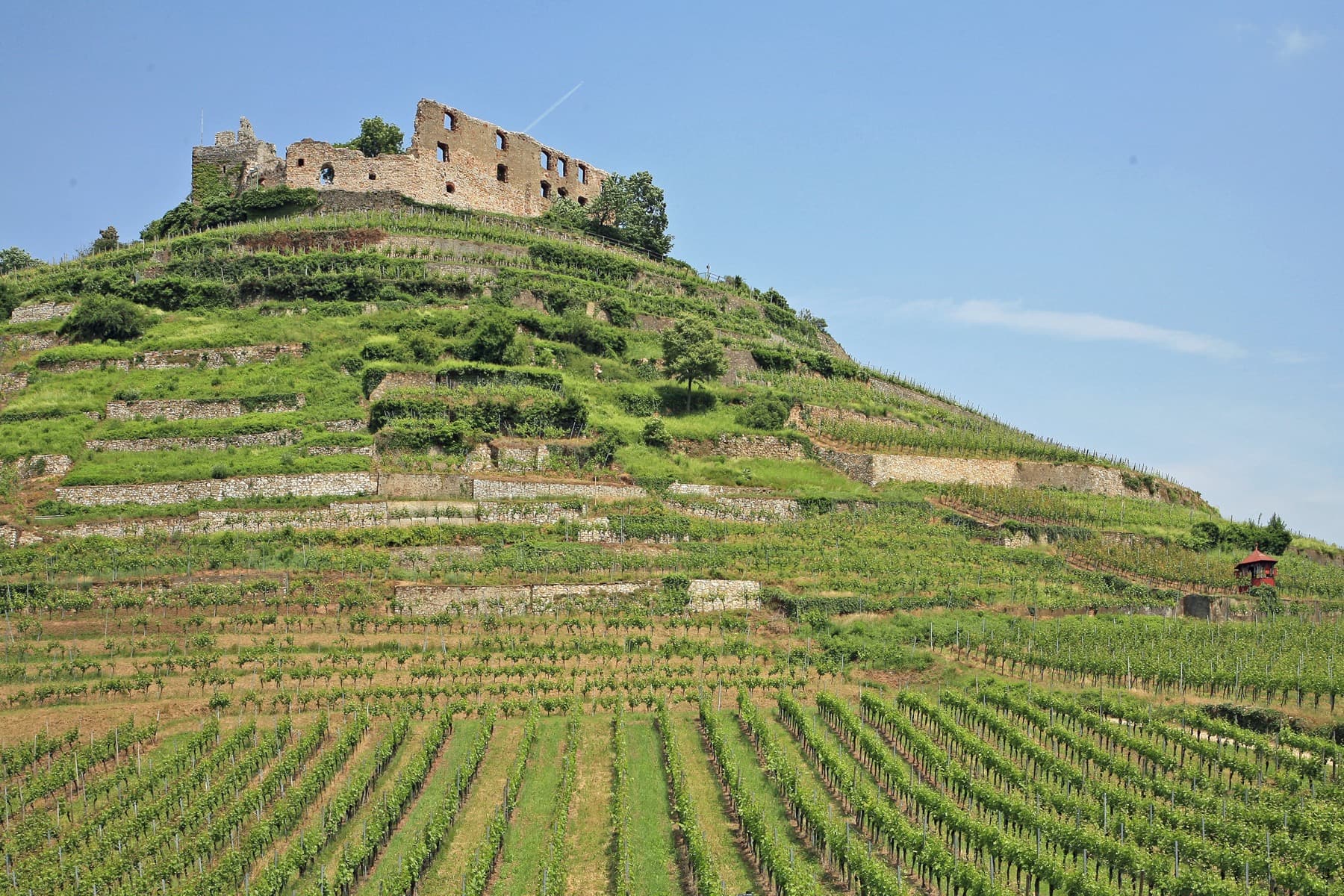 Staufen im Breisgau